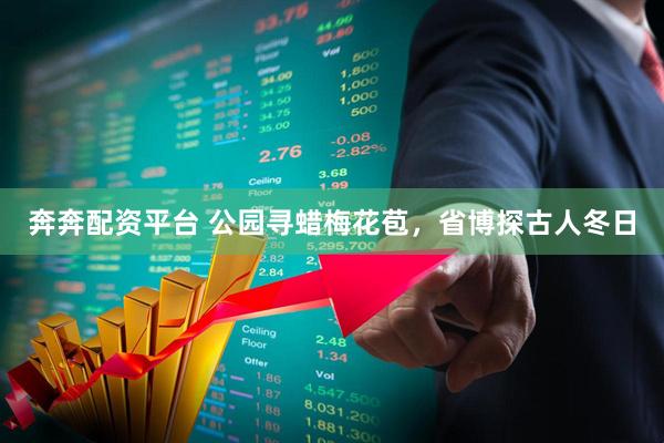 奔奔配资平台 公园寻蜡梅花苞，省博探古人冬日