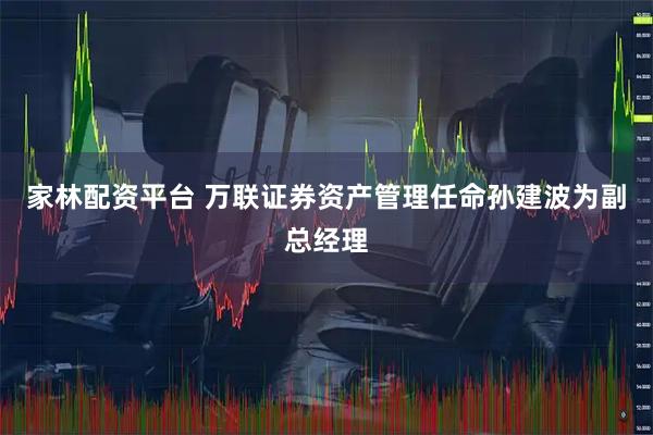 家林配资平台 万联证券资产管理任命孙建波为副总经理